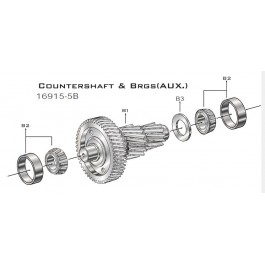 Countershaft & Brgs (Aux)